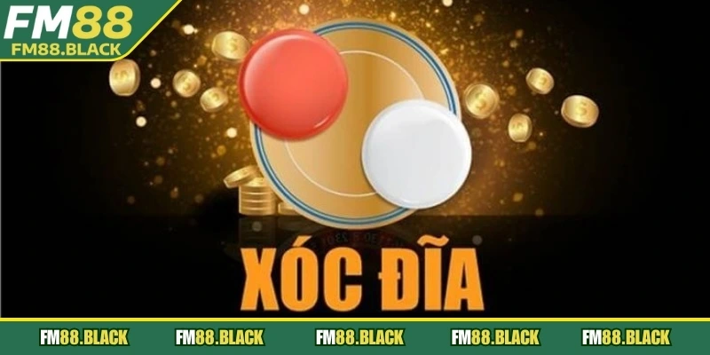 Hiểu rõ các loại cửa cược giúp người mới tăng cơ hội thắng ngay từ đầu